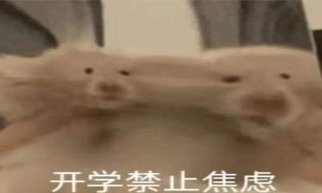 640